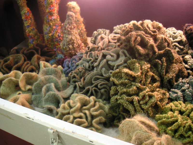 Crochet hyperbolic kelp